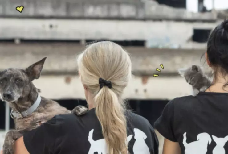 El hermosos santuarios de Costa Rica que ayuda a los perritos 