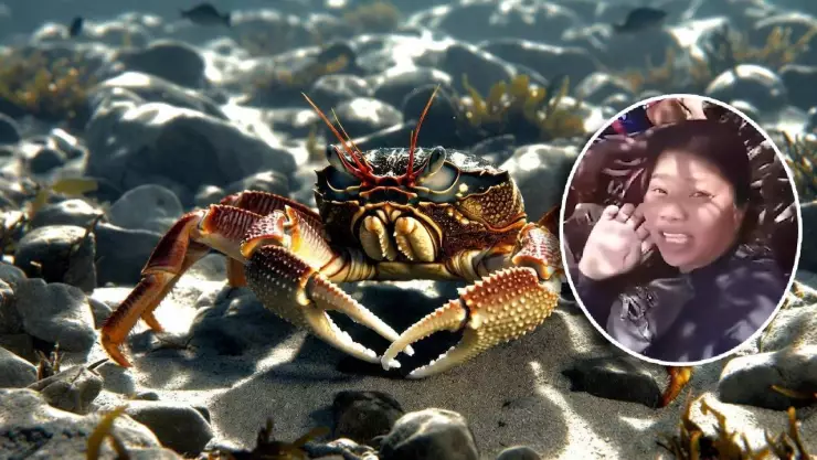 Influencer muere tras comer cangrejo venenoso; esto se sabe