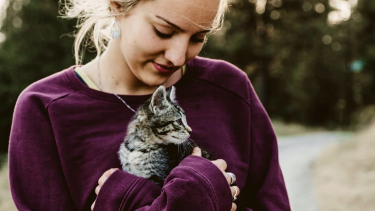 gatos v&iacute;nculos