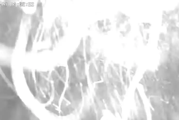 Así fue la explosión por gas en León casas dañadas y varios heridos en calle Pakistán.png