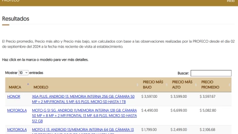 Así se ve la página de la Profeco para revisar ofertas del Buen Fin 2024