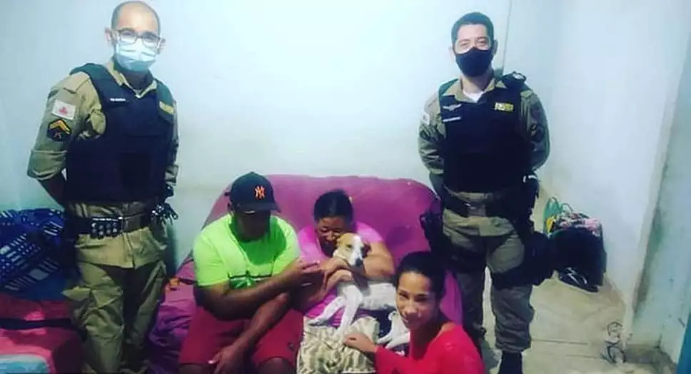 Perrito recibe 4 puñaladas al defender a su dueña de un ataque