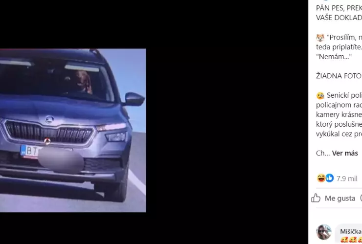 perro-manejando-avenida-eslovaquia-cámara-de-vigilancia-policia