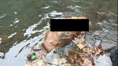 cadáver flotando río hueytamalco puebla