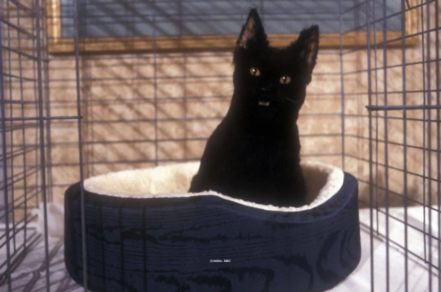 salem-saberhagen-sabrina-la-bruja-adolescente