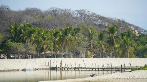 Sismo en Salina Cruz Oaxaca hoy 8 diciembre 2025.jpg