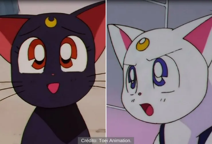 Luna y artemis sailor moon