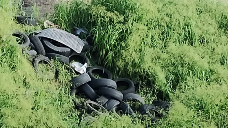 Multa por tirar basura en la calle en Querétaro