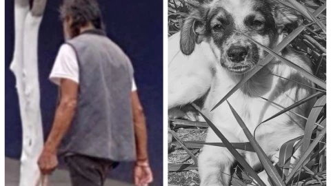 Hombre es acusado de vender presunta carne de perro en las calles de Santa María Coapan