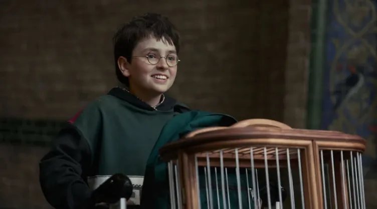 Ya se aprobó la segunda temporada de Harry Potter