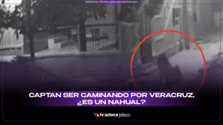 WhatsApp Image 2025-11-24 at 11.43.46 AM.jpeg