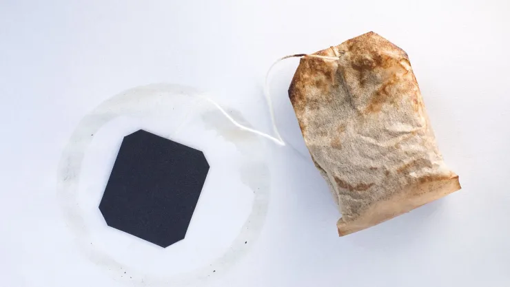 Bolsas de té usadas 3 formas de reciclarlas para darle un uso útil en el hogar.jpg