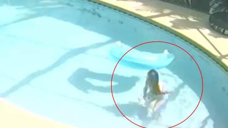 Video Mujer ahoga a su perrito en la piscina, es detenida