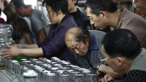 China - Leisure - Insects as Pets