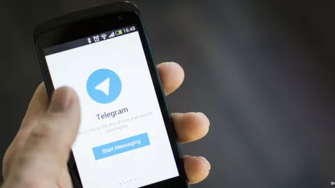 Telegram, videollamada, participantes