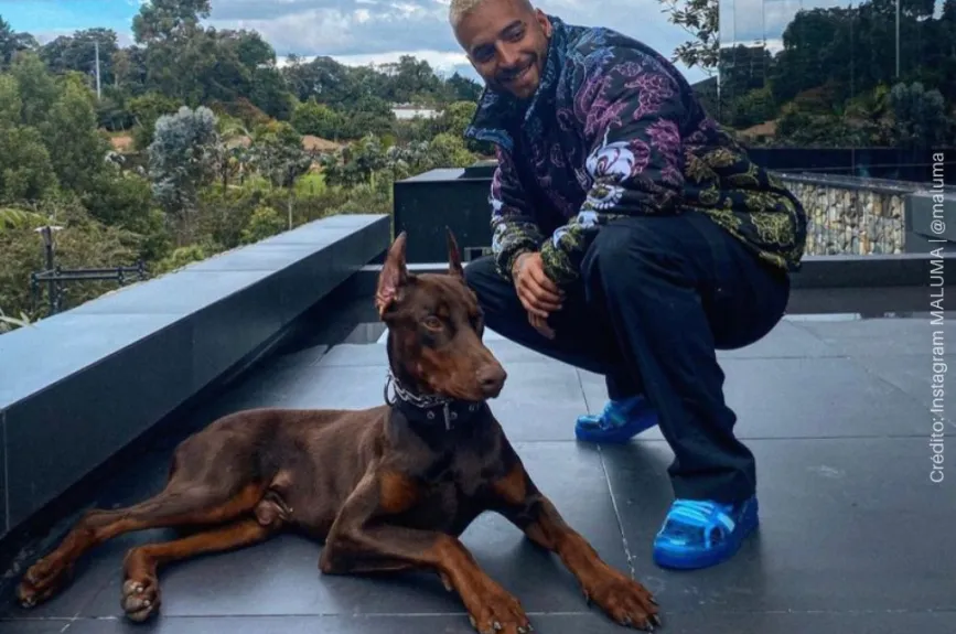 Maluma y Buda.jpg