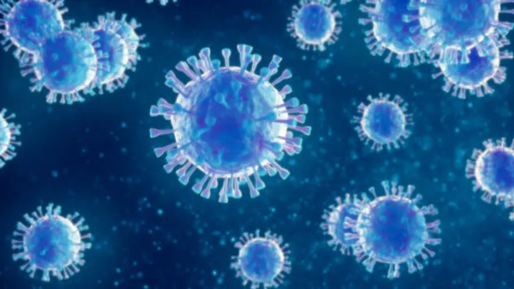 virus