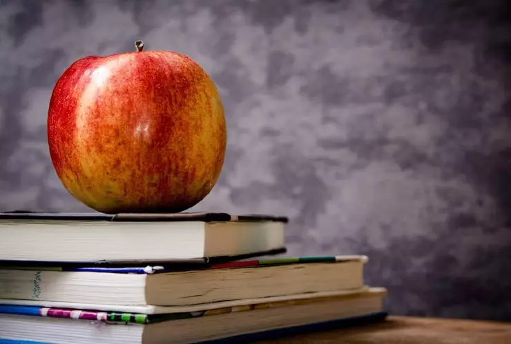 puentes en junio: SEP