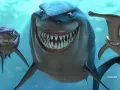 buscando-a-nemo
