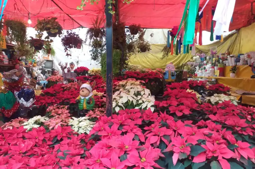 En estos mercados de flores puedes encontrar una gran variedad de nochebuenas a buen precio en la CDMX