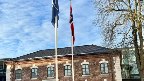 ¿Cuáles son los requisitos para que un país pueda ingresar a la OTAN ?