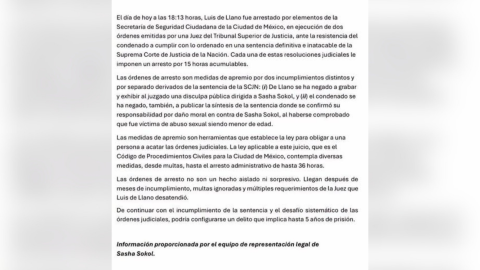 Luis de Llano detenido por caso Sasha Sokol por qué fue arrestado y qué dice la sentencia