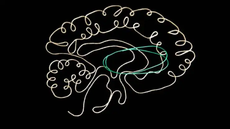 Síndrome de Tourette