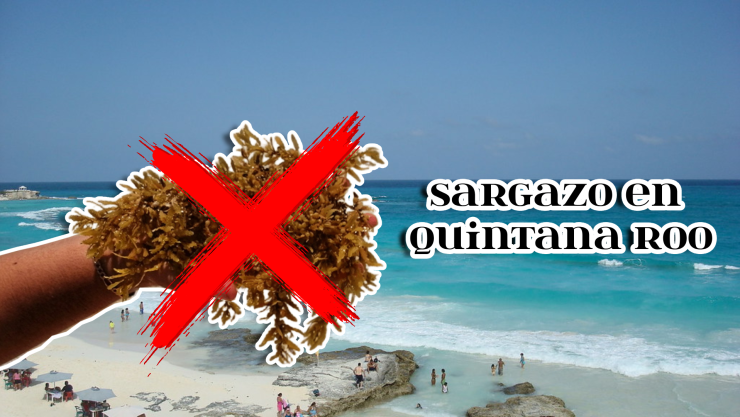 Playas libres de sargazo en Quintana Roo HOY 13 de septiembre de 2025_ Lista desde Holbox, Cancún, Tulum a Xcalak.jpg