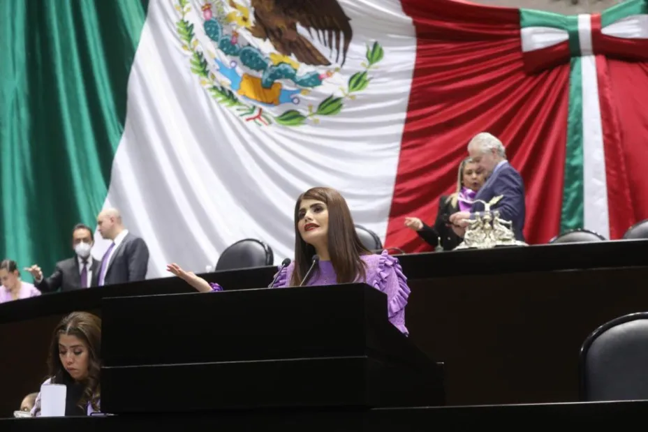 Diputada Pri libros.jpg