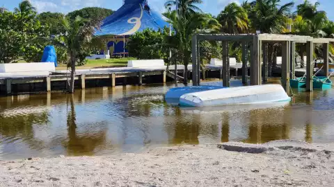 progreso afectaciones milton.