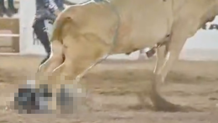 Momento donde toro mata a jinete