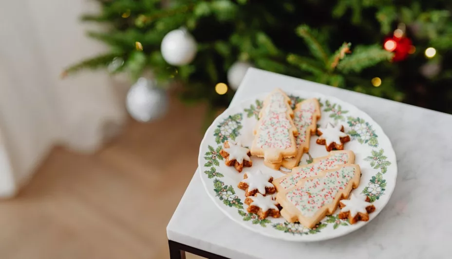 Snake navideño Flow .jpg