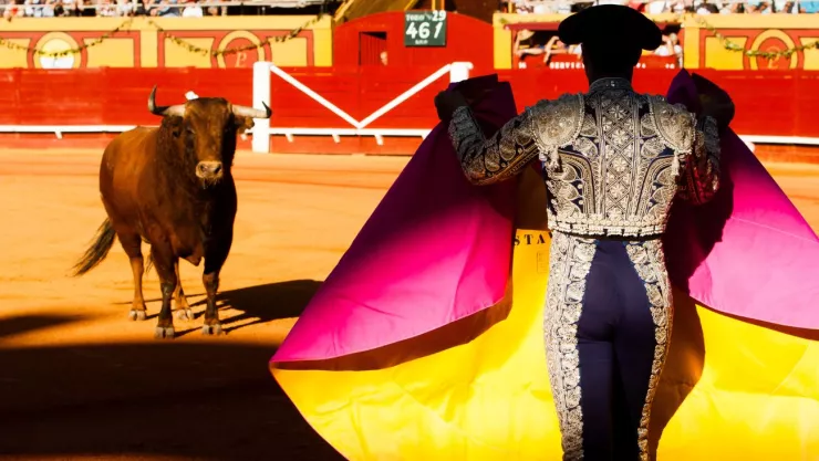 SCJN permite las corridas de toros y peleas de gallos