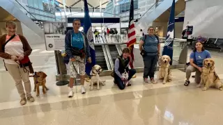 perros-asistencia-eu-5