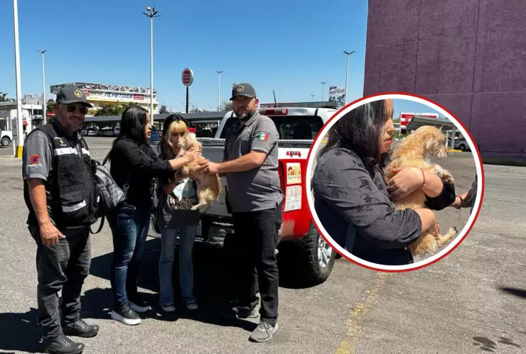 Perrito rescatado en la colonia Agustina Ramírez es entregado a su familia.