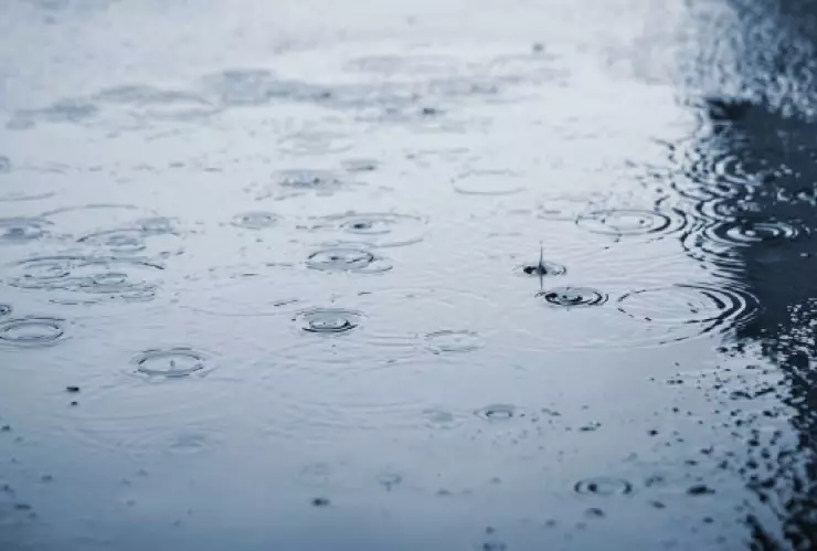 Pronostican lluvias y fuertes ráfagas de viento este fin de semana