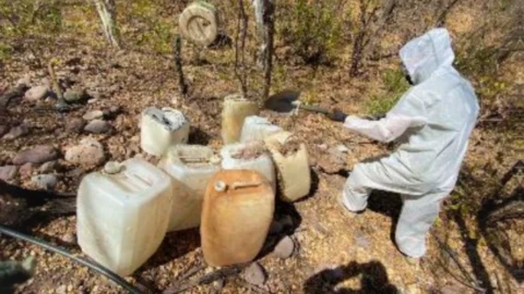 Aseguran laboratorios clandestinos en Sinaloa