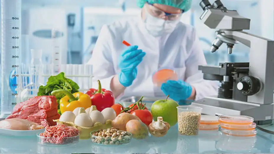 Investigador analiza plomo en alimentos.