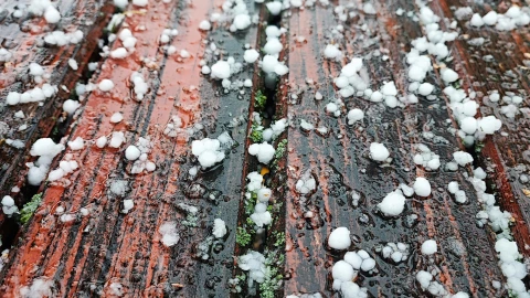 Se espera caída de aguanieve en BC.png