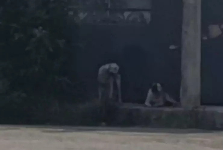 ¿Cuándo juega el América vs León_ fecha, horario y lugar donde se jugará el partido