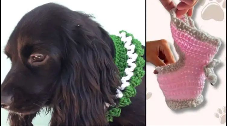 como tejer collar para perro crochet