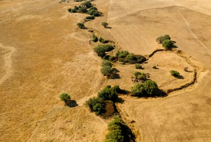 ¿Terremoto en California hoy jueves 5 de diciembre de 2024 activó la falla de San Andrés? (VIDEO)