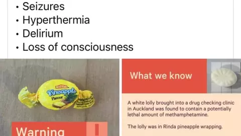 ong-nueva-zelanda-se-disculpa-por-distribuir-dulces-con-metanfetamina-ong