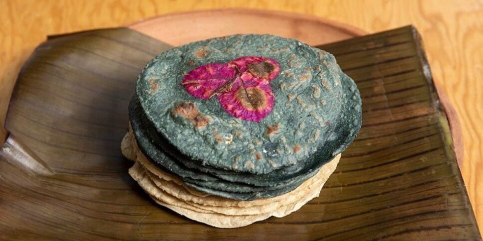 kilo de tortilla precio