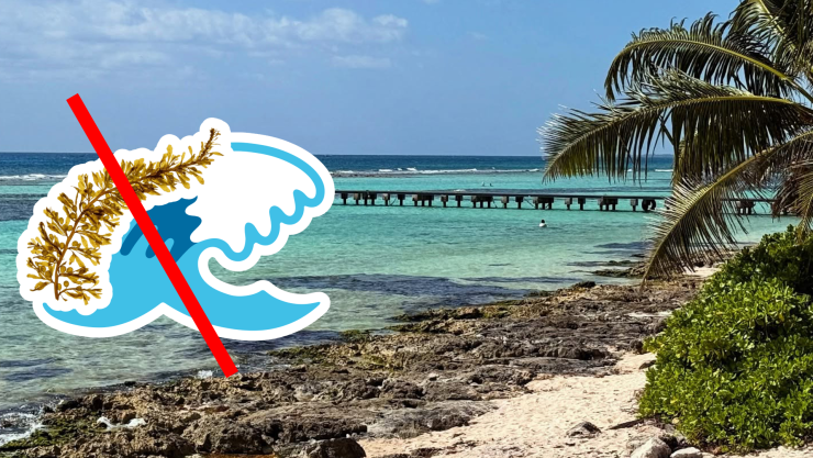 Conoce las playas libres de sargazo en Tulum, Carrillo Puerto, Bacalar, Mahahual y Chetumal HOY 29 de septiembre de 2025.jpg