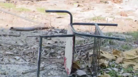 Escuela en Coyuca de Benítez