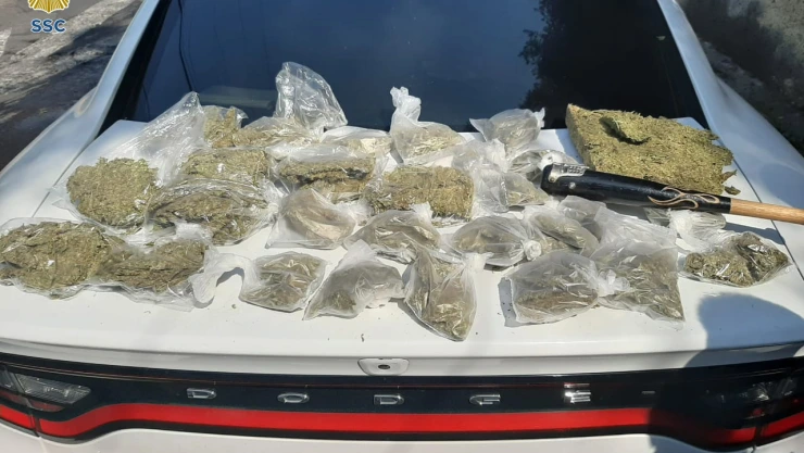 mariguana.jpg