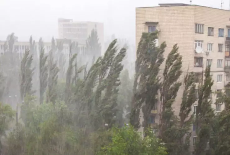 Primera Onda Tropical