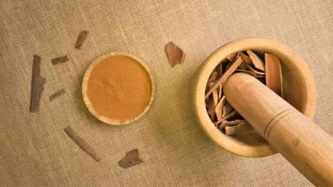 Técnicas para usar canela en las plantas. ¡Escoge tu favorita!