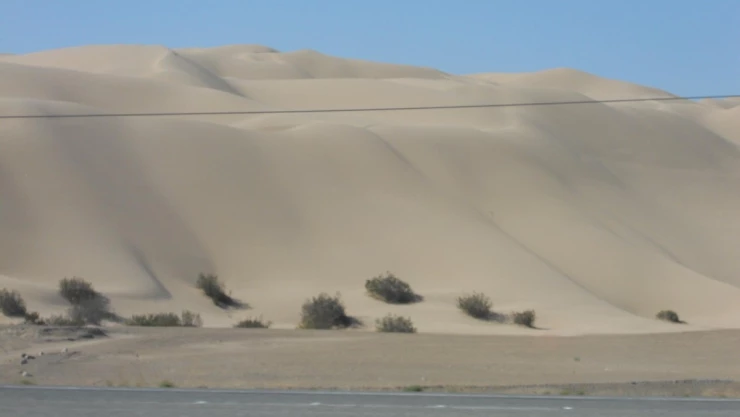 bebé desierto Arizona.jpg